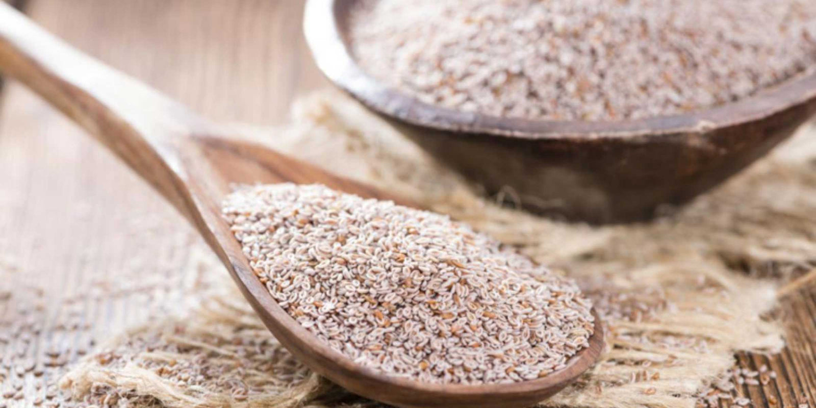 How Much Psyllium Husk to Feed Horses?